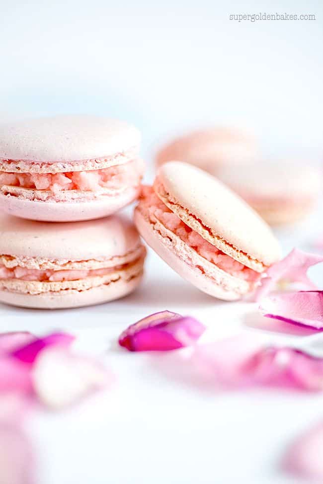 Side view of French macarons