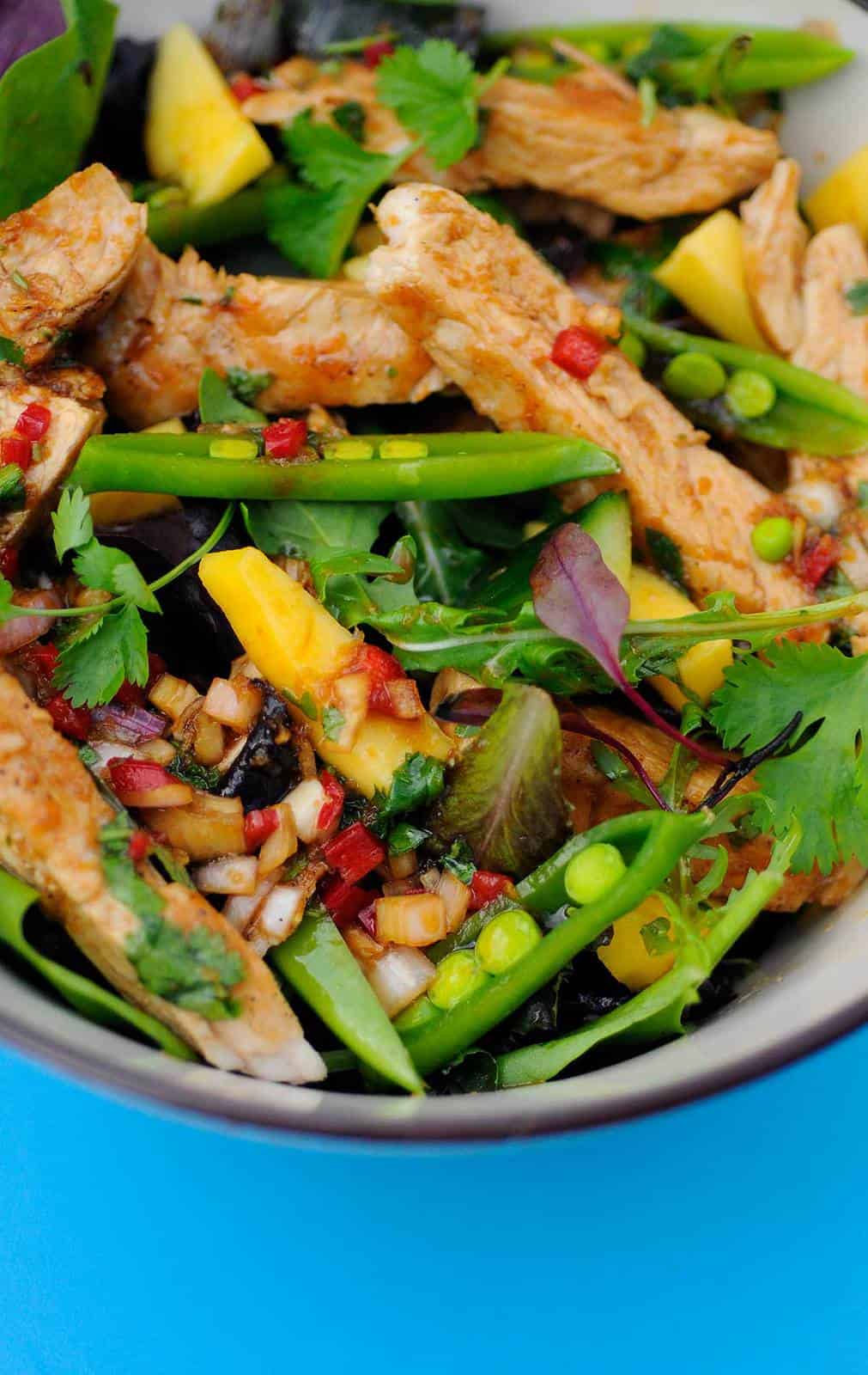 close up on a bowl of turkey salad with Thai dressing