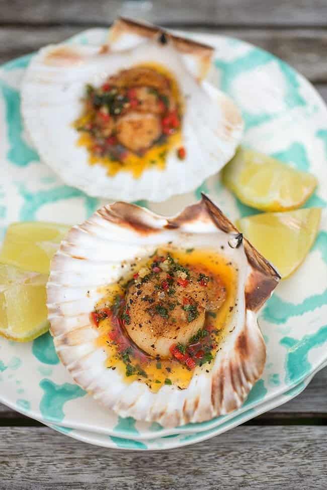 Scallops with spiced butter served on the half shell