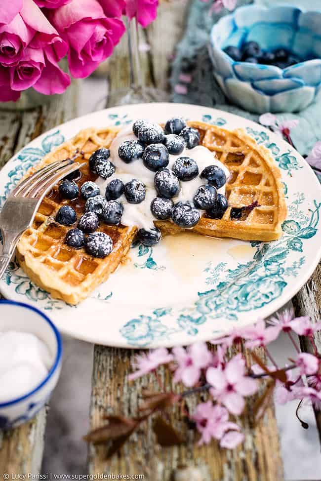 Blueberry Waffles with Whipped Coconut Cream and Hilton Garden Inn Giveaway  Supergolden Bakes