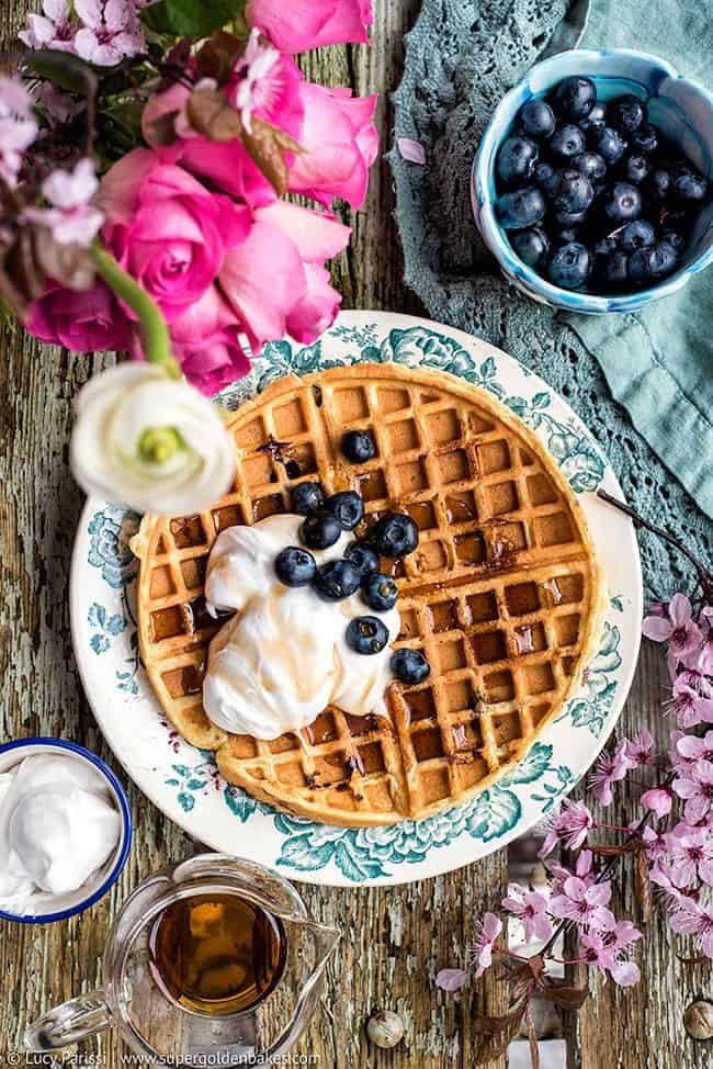 Blueberry Waffles with Whipped Coconut Cream 