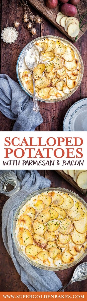 These creamy scalloped potatoes with Parmesan and bacon are the ultimate comfort food. Serve as a Thanksgiving or Christmas side dish | Supergolden Bakes #scallopedpotatoes #Thanksgiving #Christmas