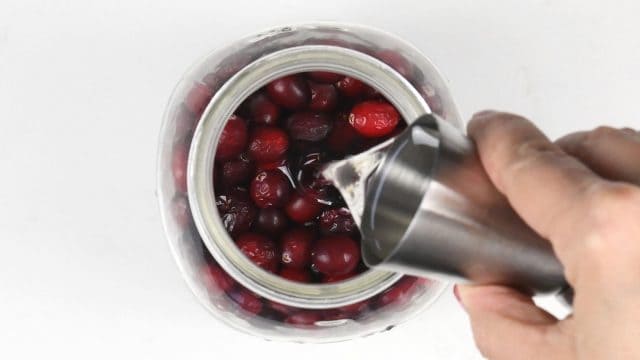 Cape Cod Drink (Vodka Cranberry) - Supergolden Bakes