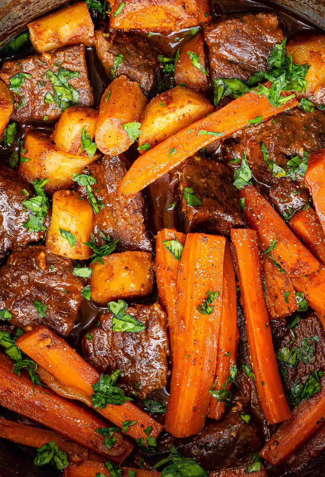 Close up on braised beef with carrots and parsnips