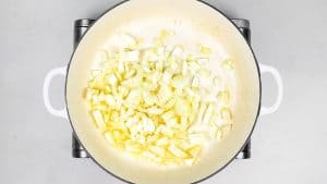 Cooking onions in a casserole dish