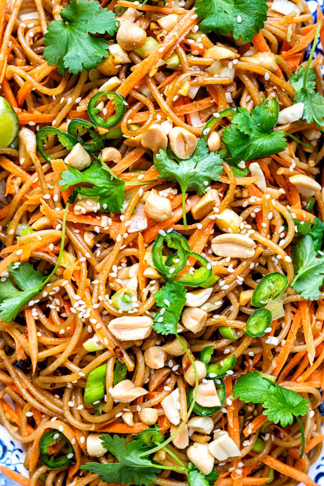 Close up on spicy peanut noodles garnished with coriander