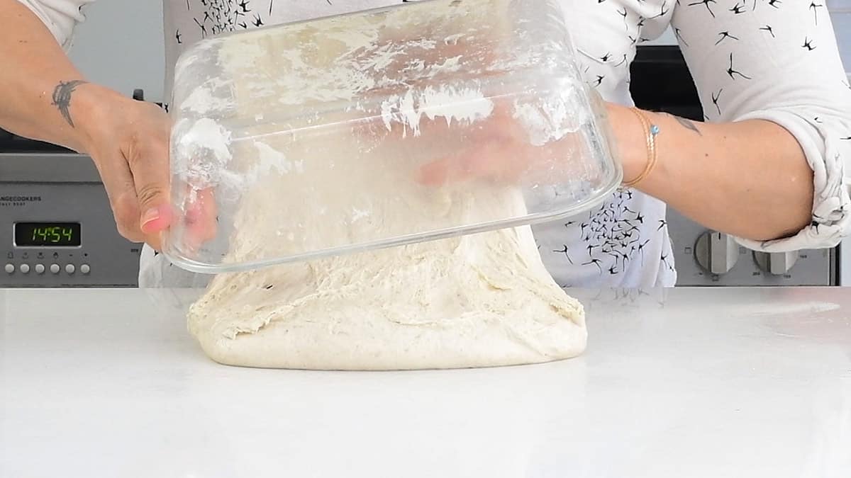 tipping bread dough onto a worktop