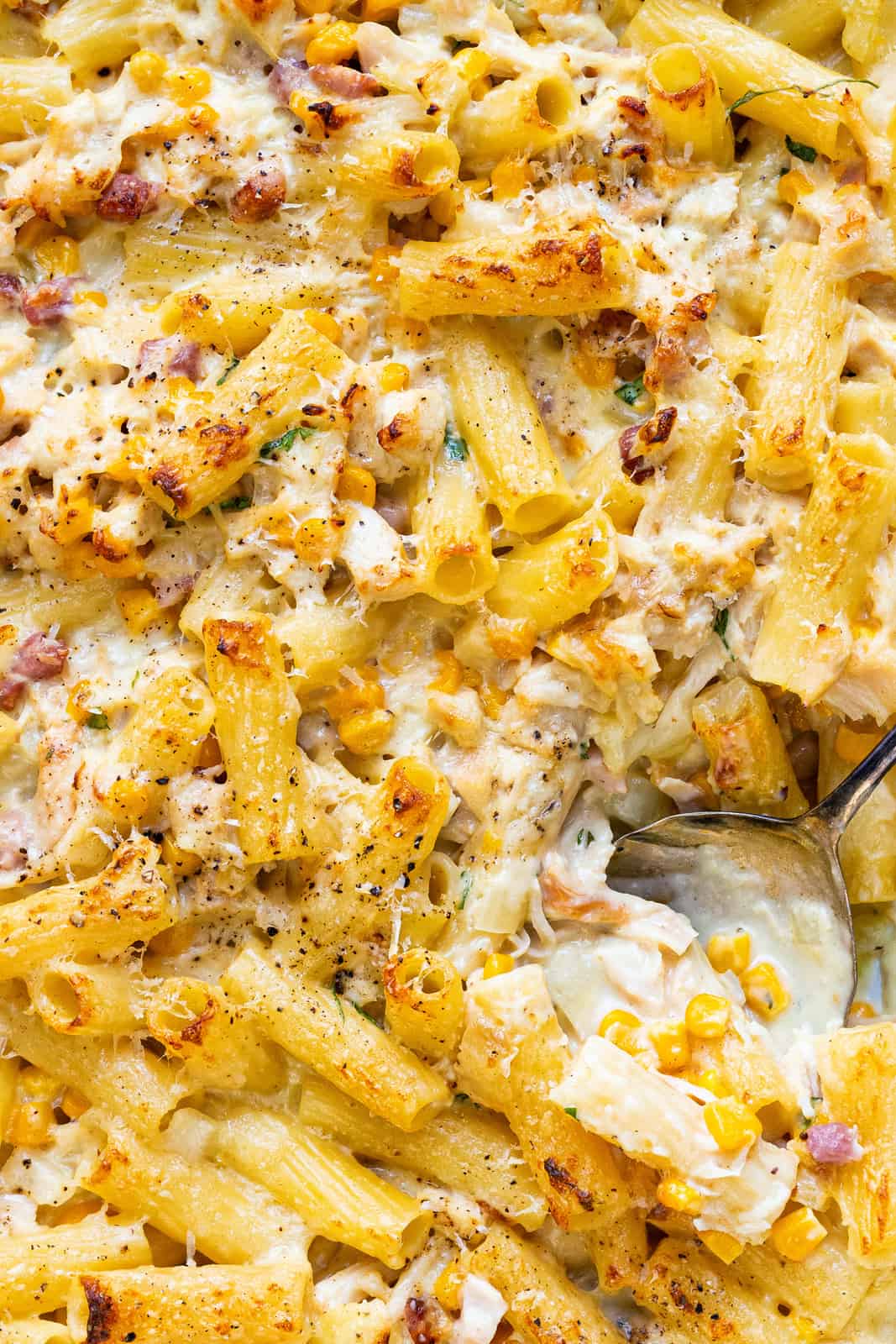 close up on a chicken bacon pasta bake