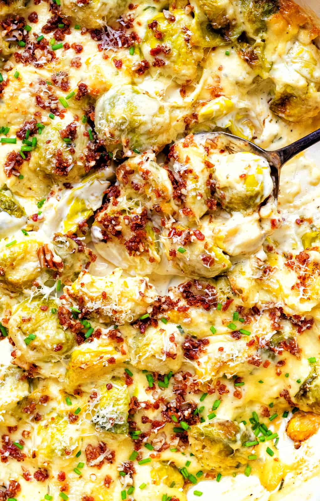 extreme close up on creamy baked Brussels sprouts topped with bacon