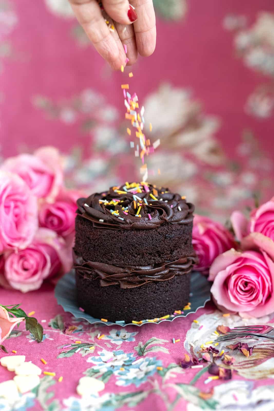 Mini naked chocolate cake topped with sprinkles