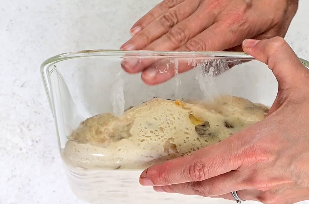 Side view showing well risen sourdough dough in a glass pyrex dish