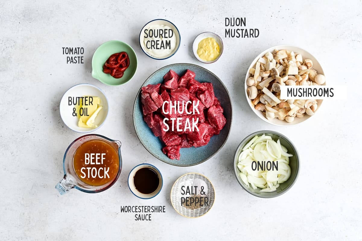 Ingredients for Instant Pot Beef Stroganoff laid out on a white background