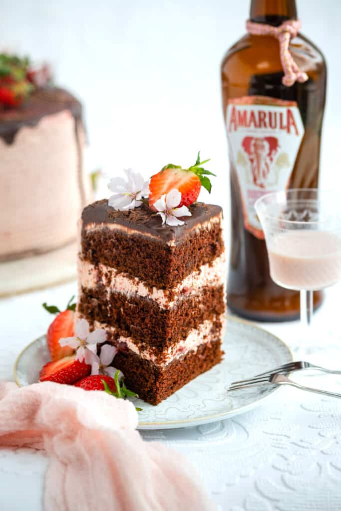 Slice of chocolate strawberry cake
