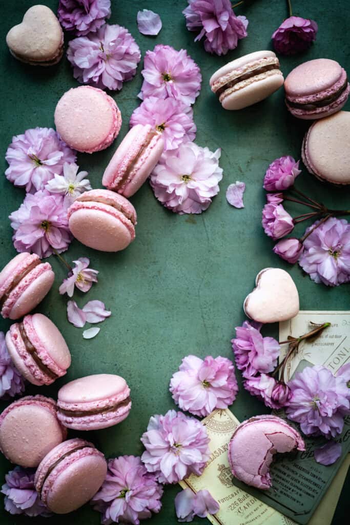 Overhead shot of French macarons against a green background with flowers