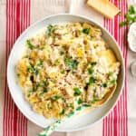 crockpot creamy chicken pasta with parmesan and cream cheese in a large bowl