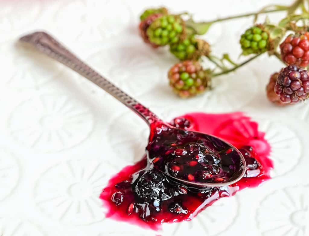 close up on a spoon of blackberry jam with wild blackberry branch in background