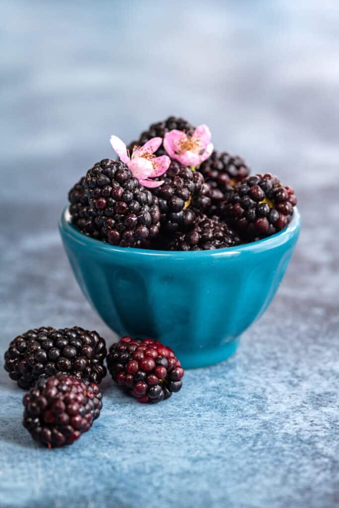 bowl of large farmed blackberries