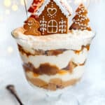 Gingerbread trifle decorated with a gingerbread house and cookies