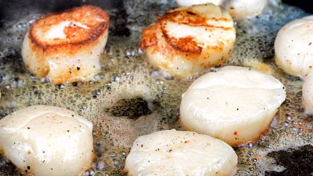 Pan frying sea scallops in a skillet