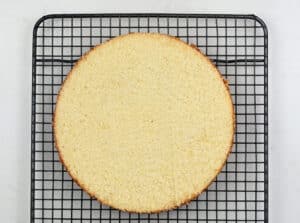 sliced sponge cake on a cooling rack