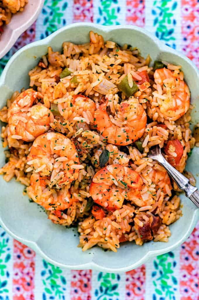 Close up on a bowl of Cajun shrimp and rice