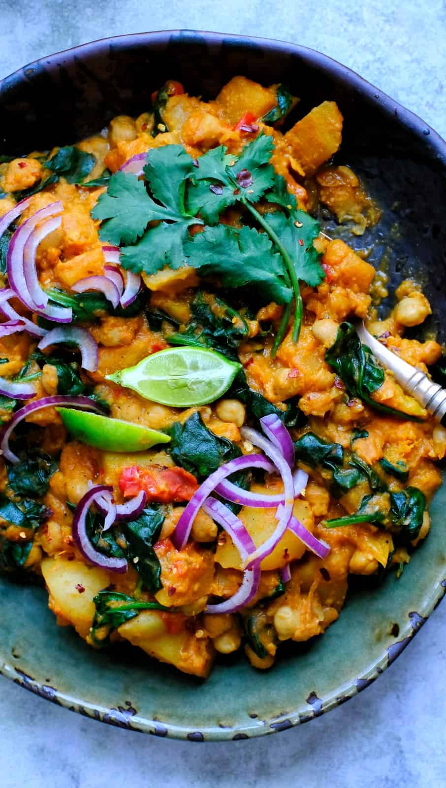 close up on a bowl of squash and chickpea curry