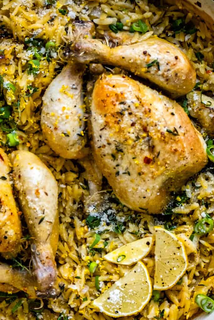 Close up on roast poussin with orzo 