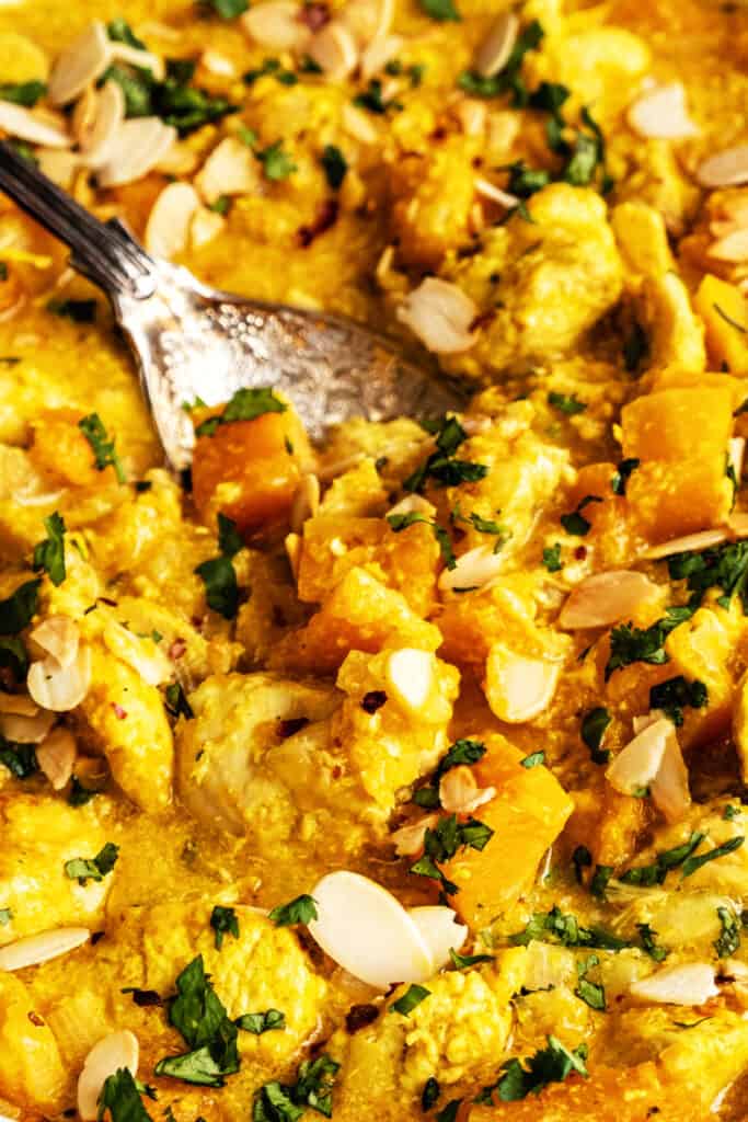 Close up on Coronation Chicken Curry
