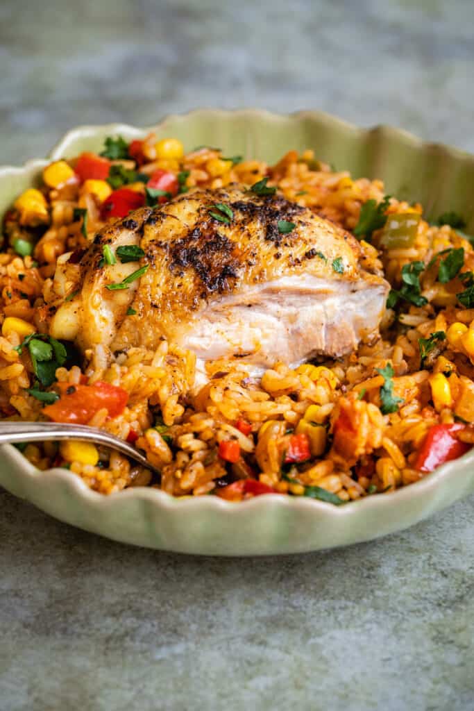 chicken thigh and spiced rice serving in a bowl