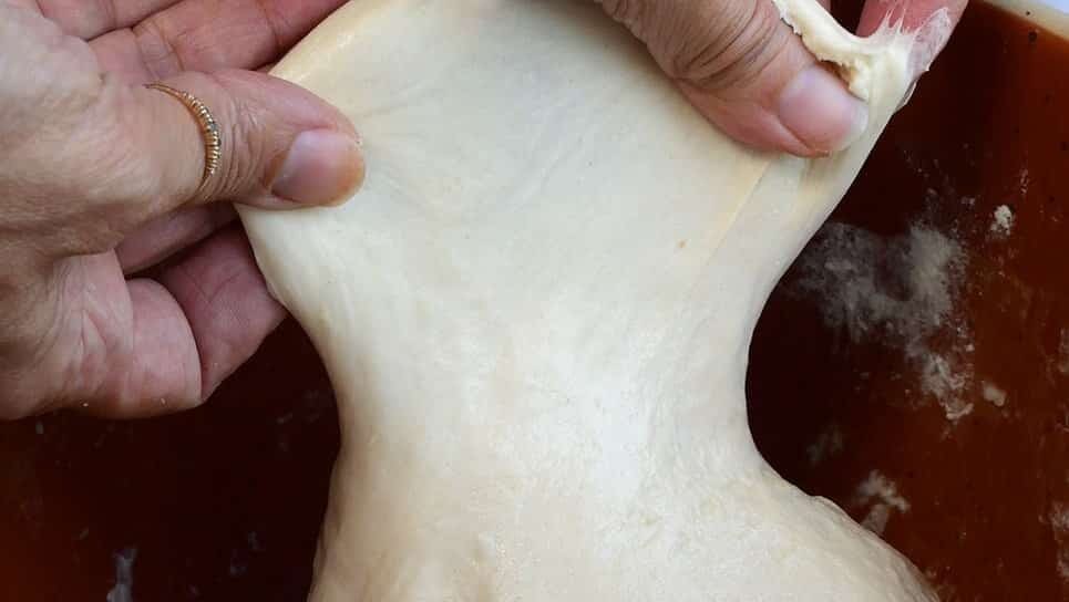 stretching sourdough dough to show elasticity