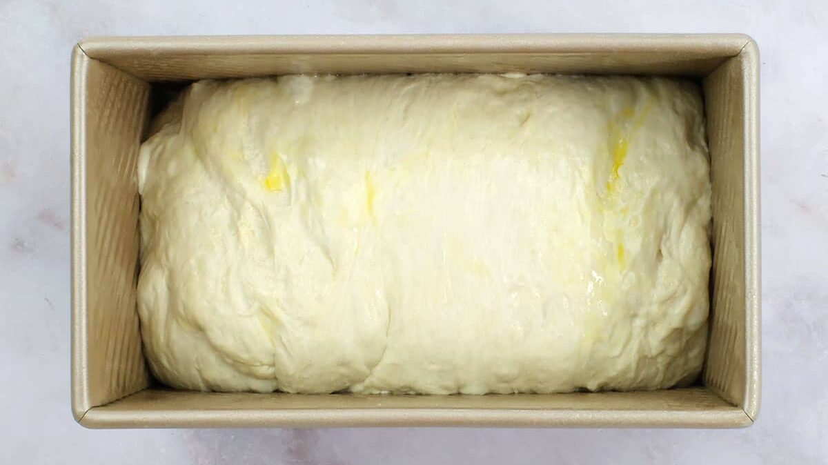 Sourdough bread dough in a loaf pan prior to second rise