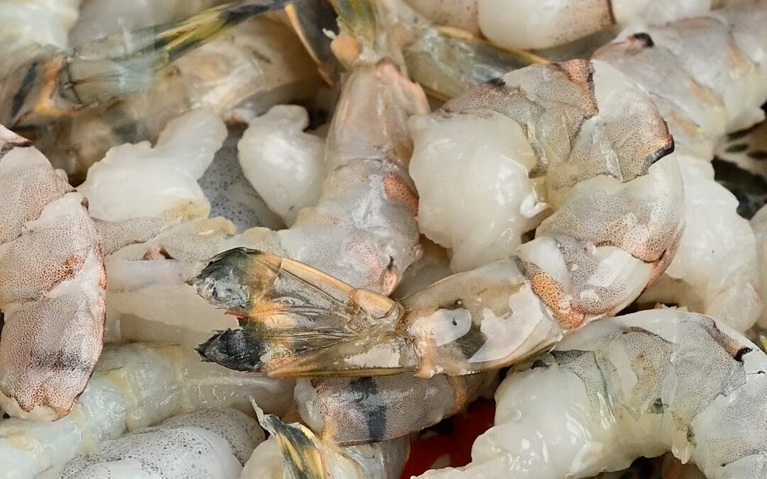 raw shrimp (king prawns) close up