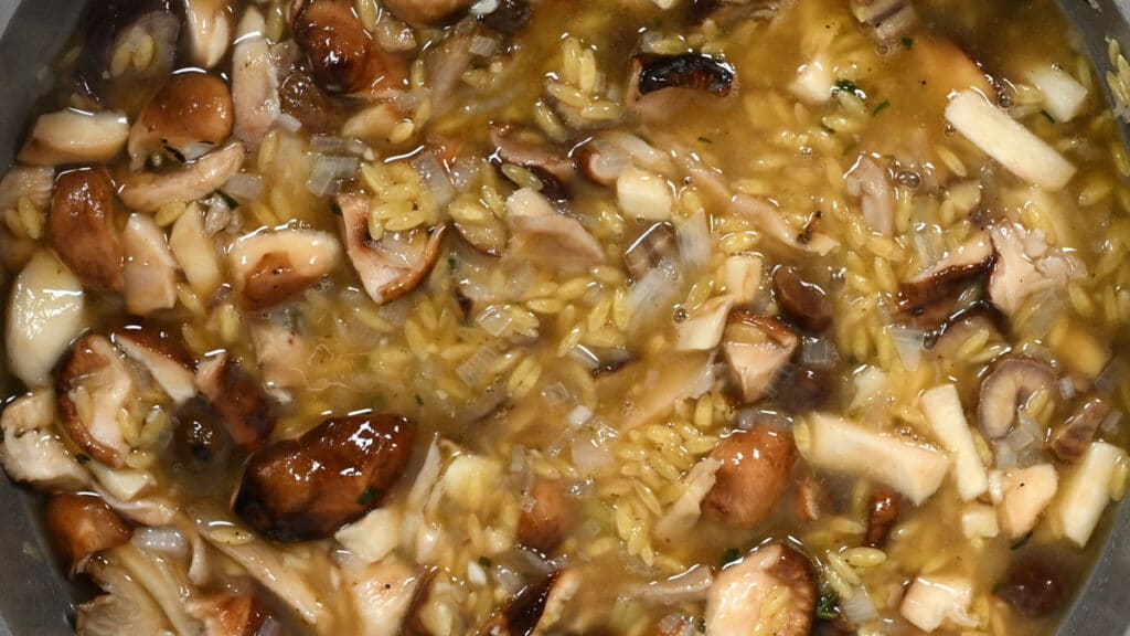 close up on a pan or mushroom orzotto