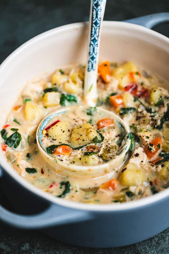 close up on a ornate ladle in a pot of chicken gnocchi soup