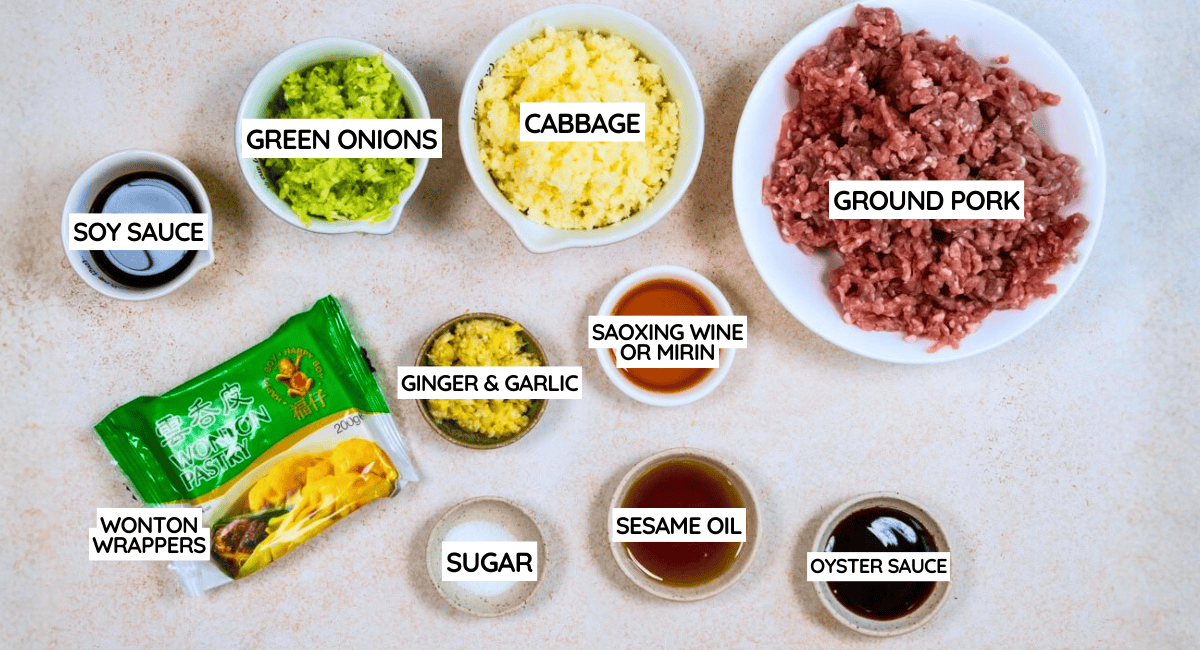 A top-down view of ingredients for dumplings—including minced pork, cabbage, spring onions, and wonton wrappers—clearly labelled and perfect for making classic dumplings or a creative dish like dumpling lasagne.