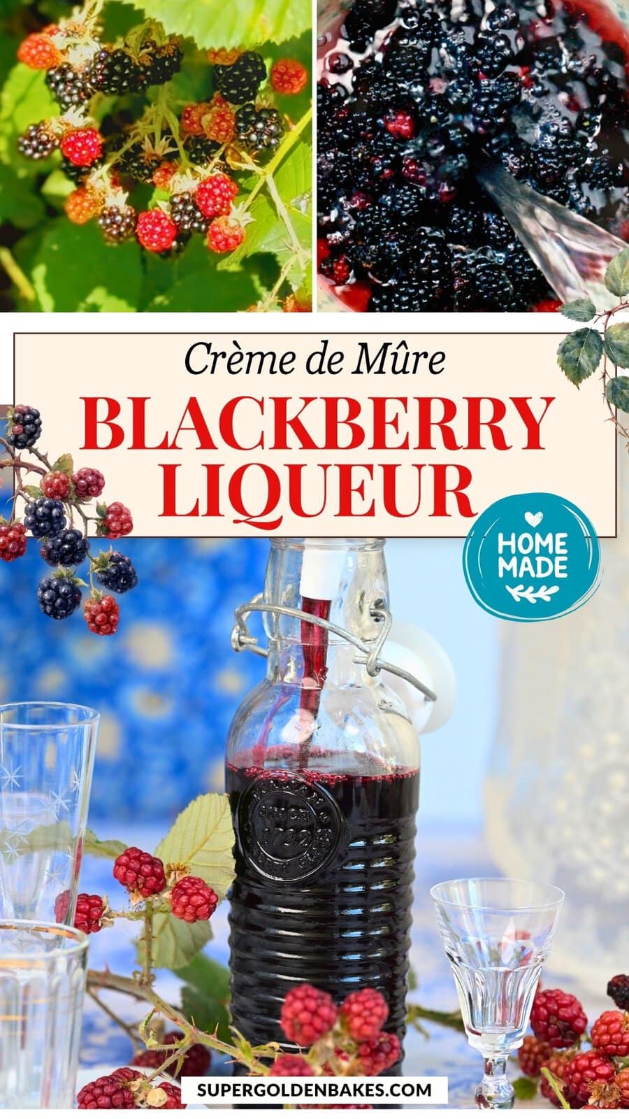 A bottle of homemade Blackberry Liqueur sits on a table with glasses, surrounded by fresh blackberries and leaves. The collage includes close-ups of blackberries on branches and juicy berries being crushed for the liqueur.