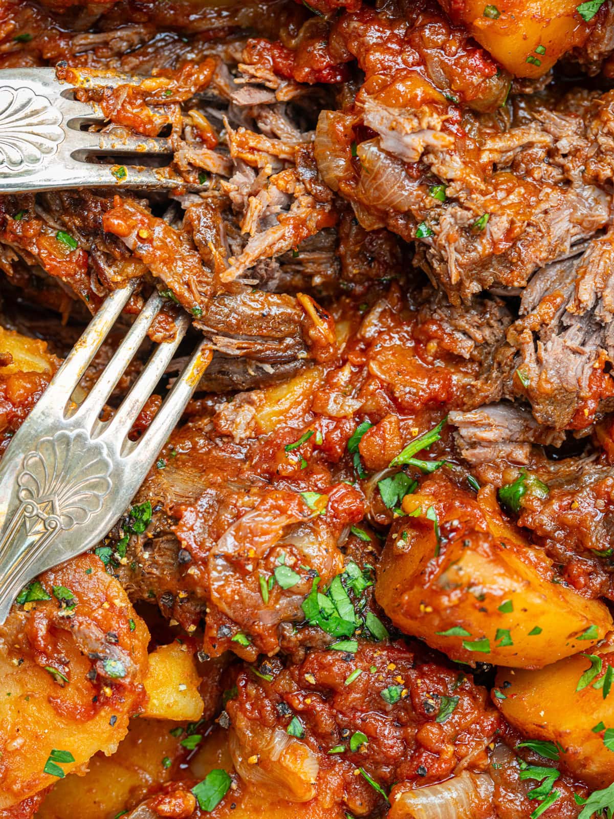 Close-up of tender pot roast with potatoes, carrots, and onions in a rich tomato sauce, garnished with chopped parsley. Two forks are pulling apart the meat.