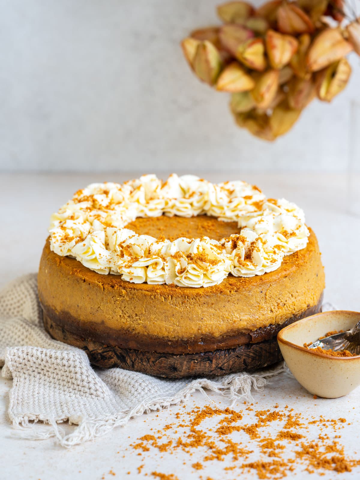 Pumpkin pie cheesecake with a Biscoff crust, topped with a ring of piped whipped cream and crushed Biscoff cookies, with more crumbs scattered around it.